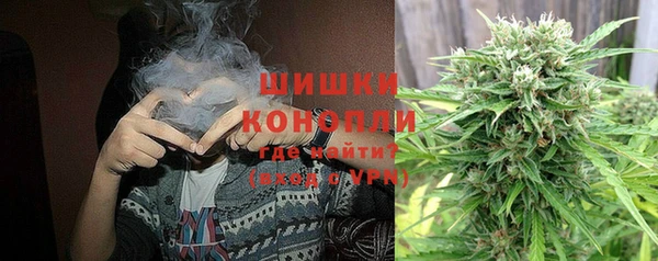 ПСИЛОЦИБИНОВЫЕ ГРИБЫ Алексеевка