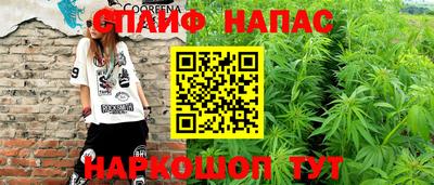 мдпв Гудермес