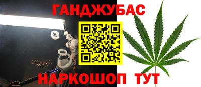 мдпв Гудермес