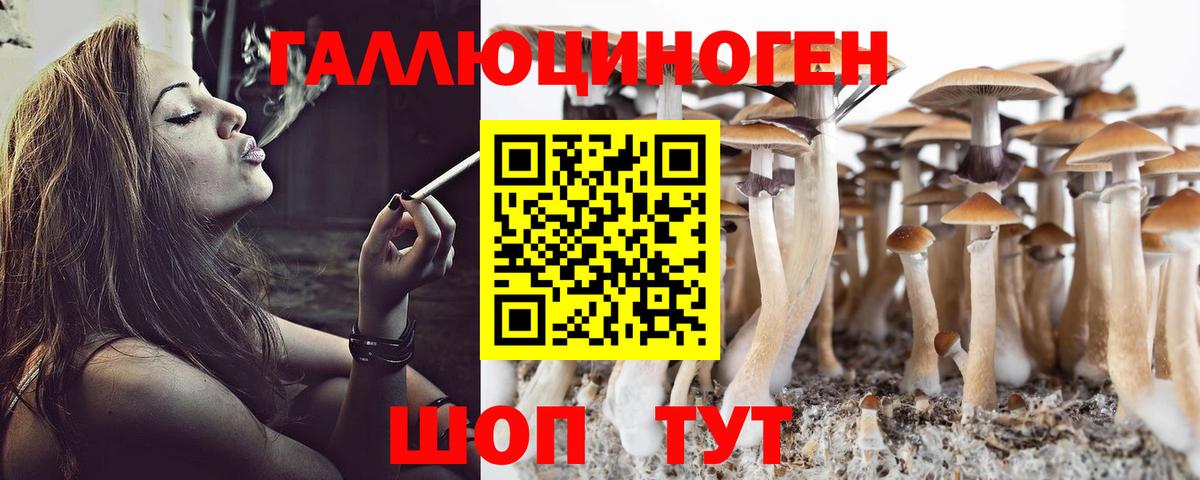 Галлюциногенные грибы мицелий Лобня