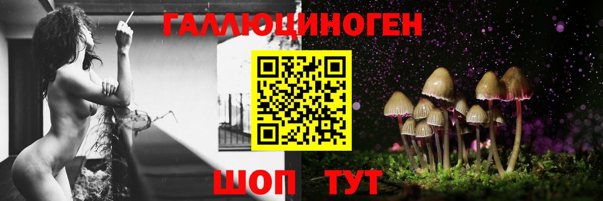 Псилоцибиновые грибы GOLDEN TEACHER  Вход с VPN  Галлюциногенные грибы прущие грибы  Лобня 